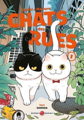 Chats des rues -1-