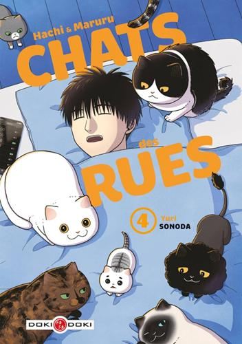 Chats des rues -4-