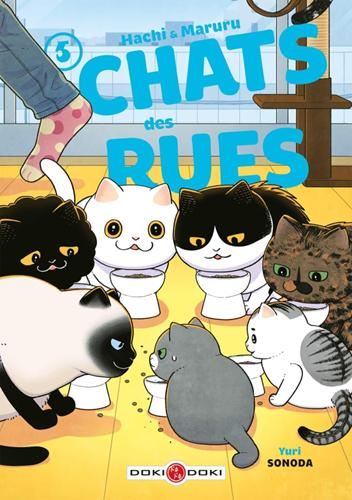 Chats des rues -5-