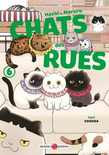 Chats des rues -6-