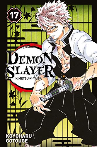 Demon slayer -17-